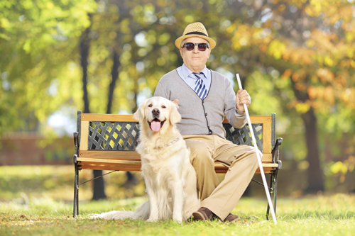 a photo of a man and his seeing eye dog