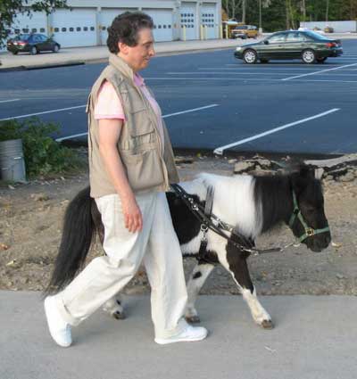 a photo of a man walking with his service animal: a pony