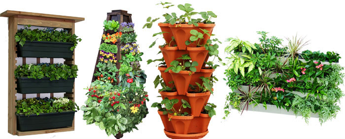a photo of a variety of vertical gardens