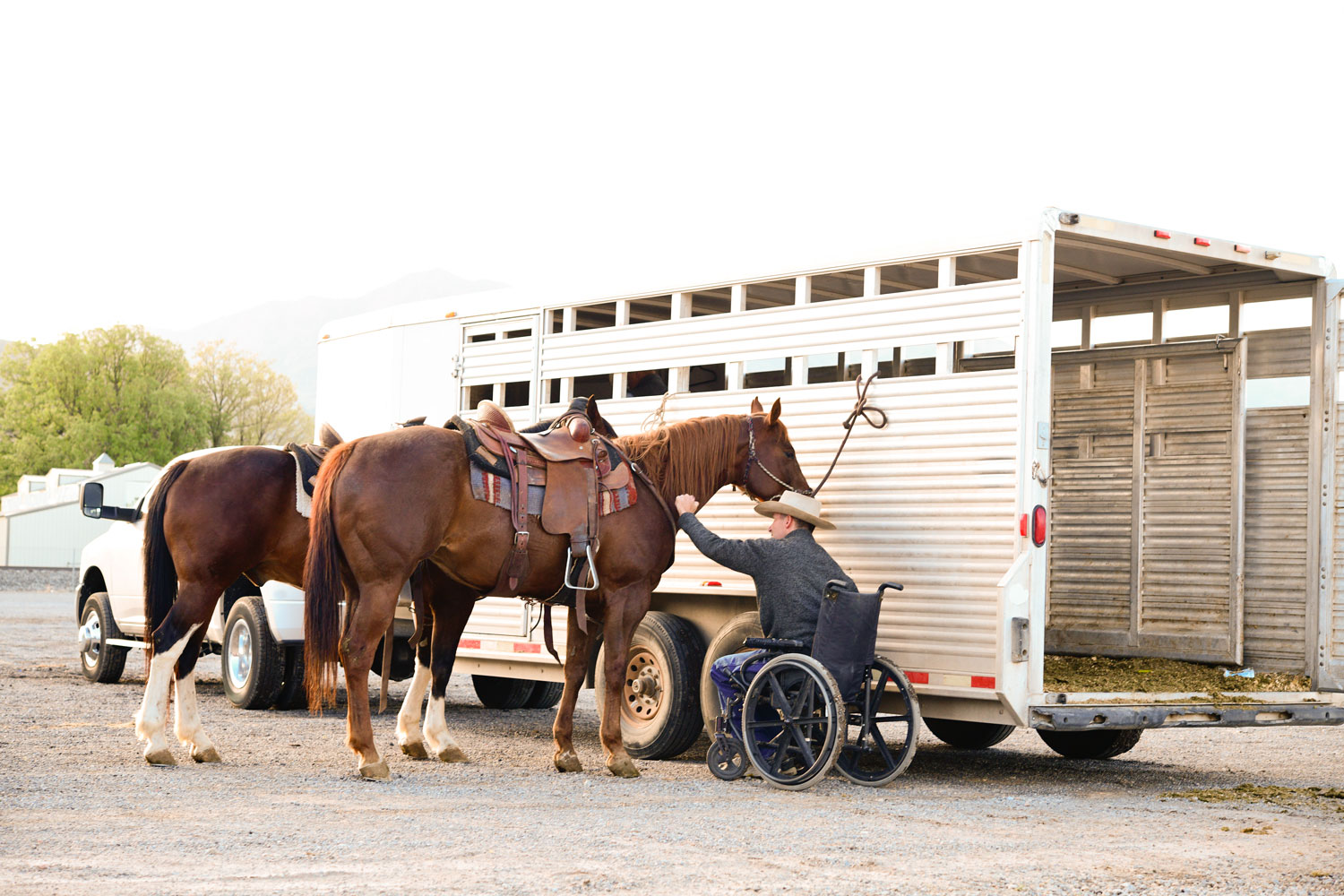  a photo of man using a wheelchair to attend to his horses