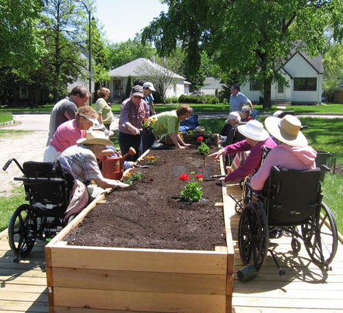 a photo of a group of seniors using wheelchairs and attending a raised flower bed